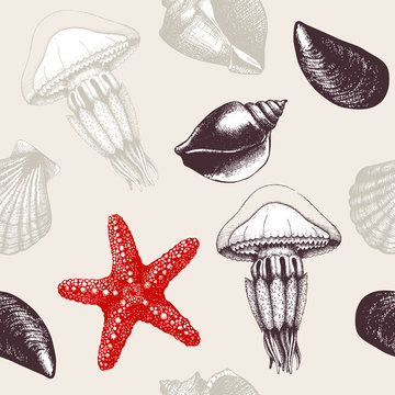 Vector seamless pattern with hand drawn sea shells, sea star and jellyfish sketch 