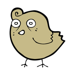 funny cartoon bird