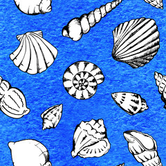 Sea shells vector seamless pattern texture background