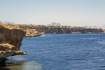 Red Sea coastal coral reef