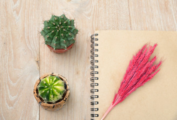 cactus background and decorated on table