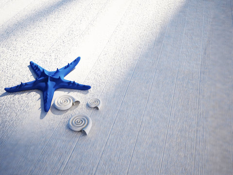 sea shells and the starfish on a floor,