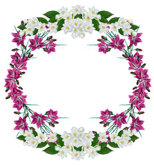 blue flowers campanula isolated on white background