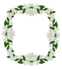 Fototapeta premium frame of jasmine flowers