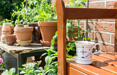 coffee break / Flower pots with herbs and vegetables and coffee cup on the garden table