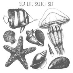 Vector set with hand drawn small fish, sea star, jellyfish and sea shell sketch