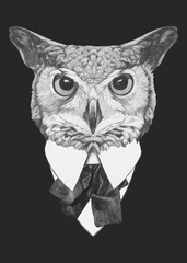 Hand drawn fashion Illustration of Owl. Vector isolated elements.