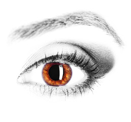 Obraz premium Human Eye