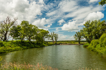 Fototapeta premium Beautiful pond created for a carp cultivation