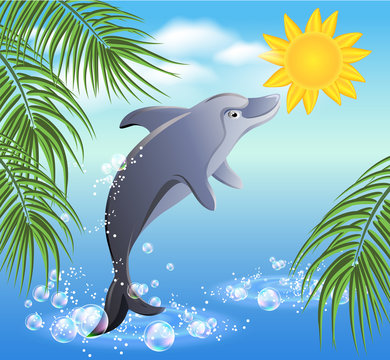 Dolphins and sun