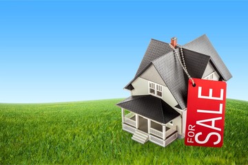 House, Real Estate Sign, Sale.