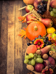 Autumn background with fresh fruits