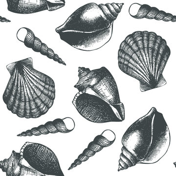 Vintage background with ink hand drawn sea shells. Seamless vector pattern