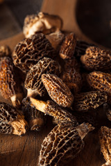 Raw Organic Morel Mushrooms
