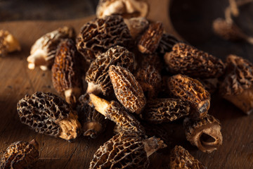 Raw Organic Morel Mushrooms