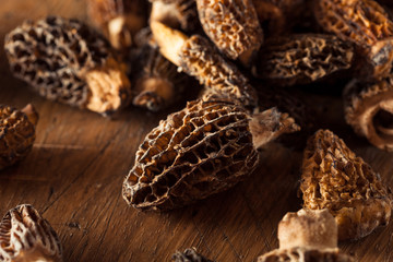 Raw Organic Morel Mushrooms