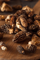 Raw Organic Morel Mushrooms