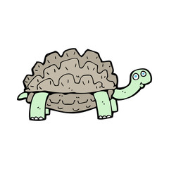 cartoon tortoise
