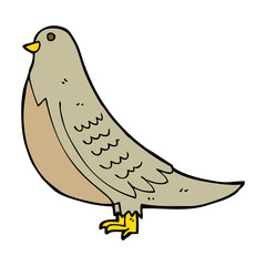 cartoon common bird