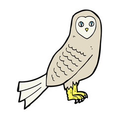 cartoon owl