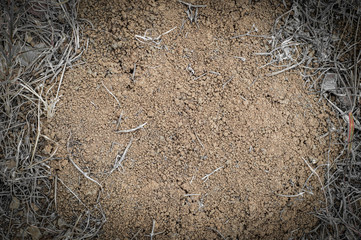 Soil on ground, background