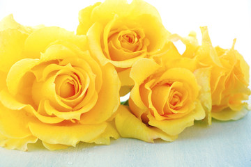 Beautiful yellow roses on rustic wood table.