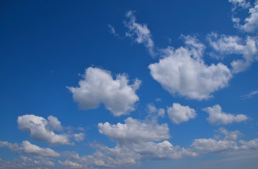 Naklejka na ściany i meble Fluffy ethereal white clouds in vivid blue sky