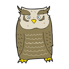 cartoon owl