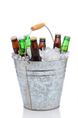 Assorted beer bottles in a bucket of ice