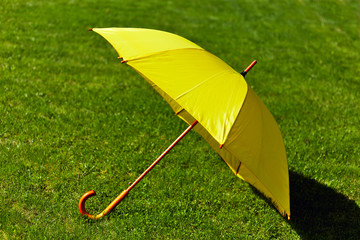 Yellow umbrella on the grass