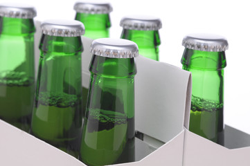 Close up of a Six Pack of Beer