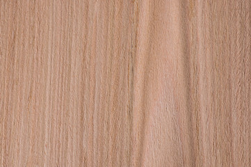 Wood texture beech fine veneer