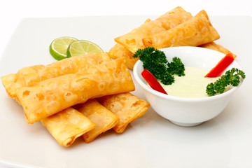 Latin-American appetizers called Tequenos with cheese, seafood with guacamole.