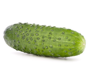 Cucumber vegetable  isolated on white background cutout