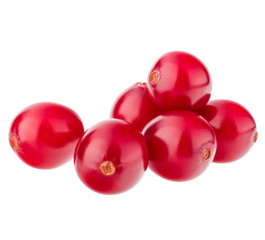 cranberry  isolated on white background cutout