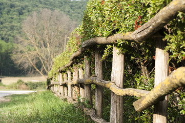 wooden fence with a fence in the countryside