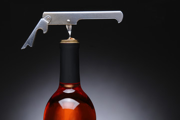 Corkscrew in Red Wine Bottle