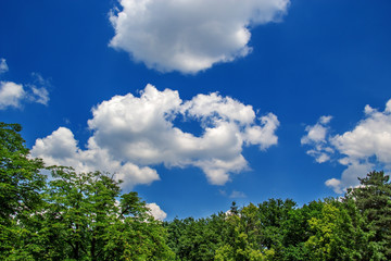 beautiful clouds in summer days