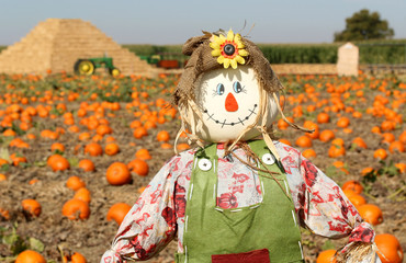 Fototapeta na wymiar Cute Scarecrow