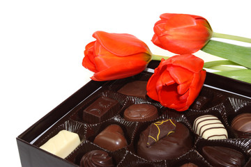 Tulips and Chocolate