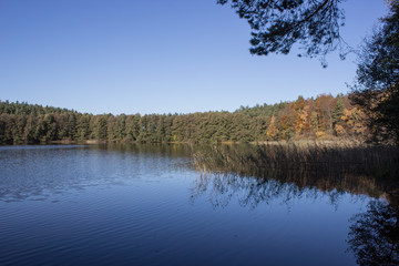 See am Waldrand im Herbst