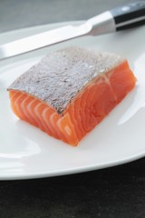 fresh sea trout salmon fillet