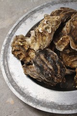 fresh closed oysters