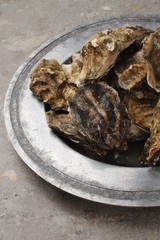 fresh closed oysters