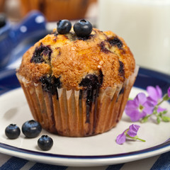 Homemade Blueberry Muffins. Selective focus.