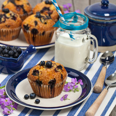 Homemade Blueberry Muffins. Selective focus.