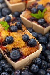 Blueberry Mini Cakes. Selective focus.