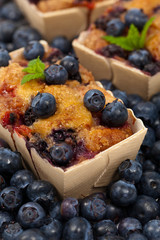 Blueberry Mini Cakes. Selective focus.