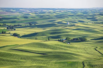 Cercles muraux Campagne Wheat fields in Palouse Washington state