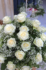 White Wedding Roses